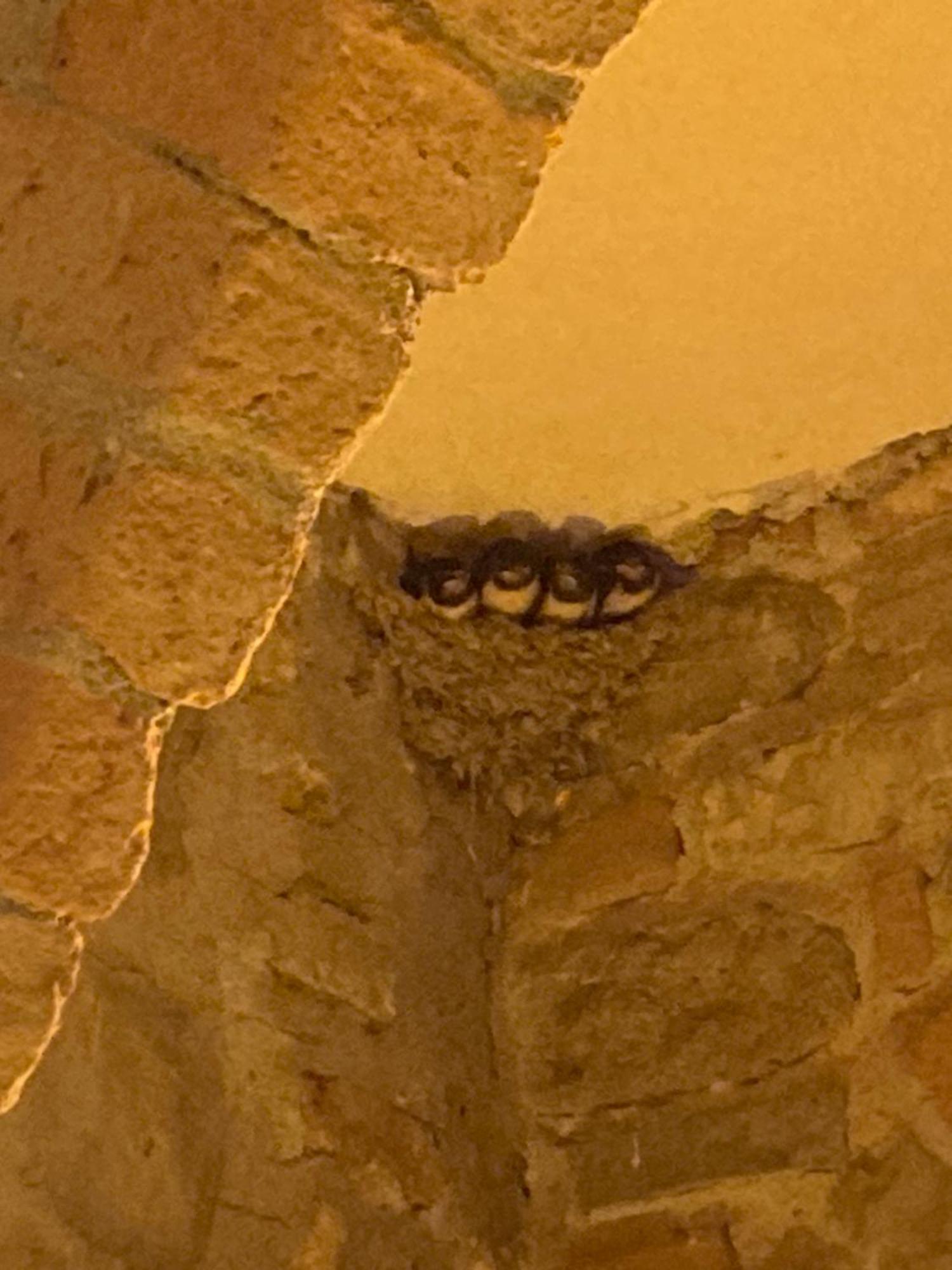 Palazzo Dei Poeti Hotel Tursi Luaran gambar